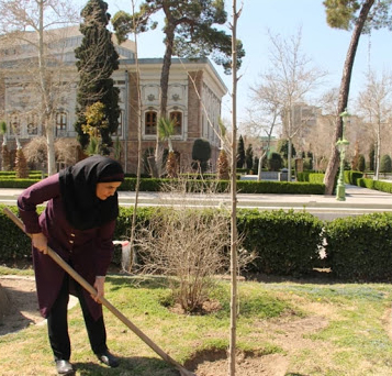 کاشت 50 اصله نهال چنار در مجموعه میراث جهانی کاخ گلستان